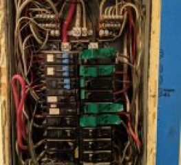 Electric-365